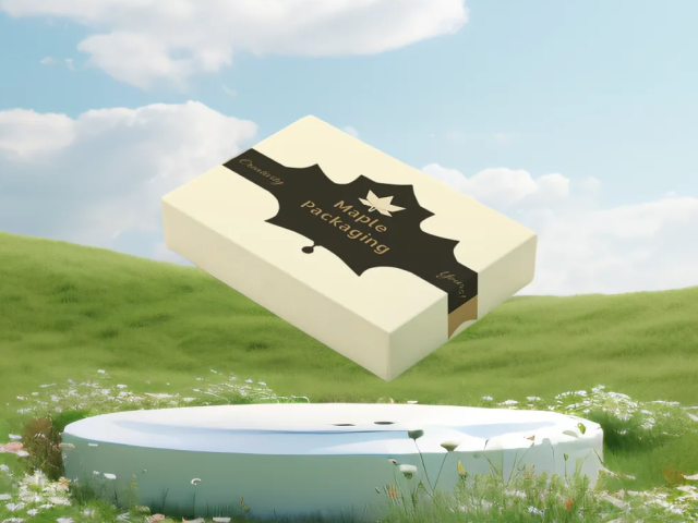 Branding project preview