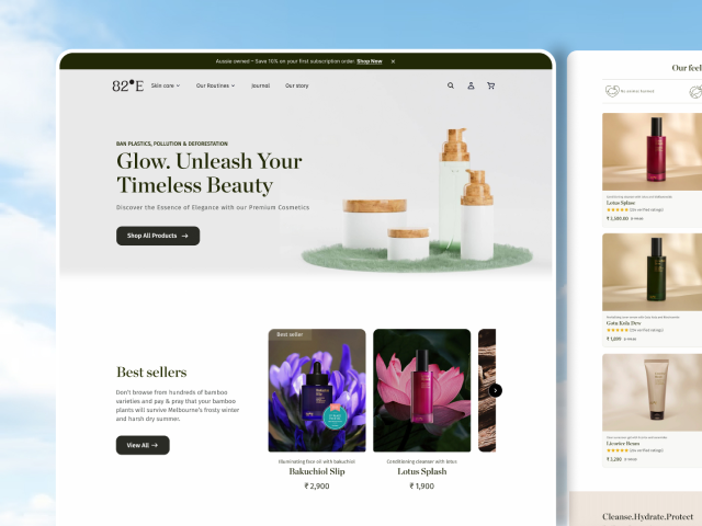 Web design project preview